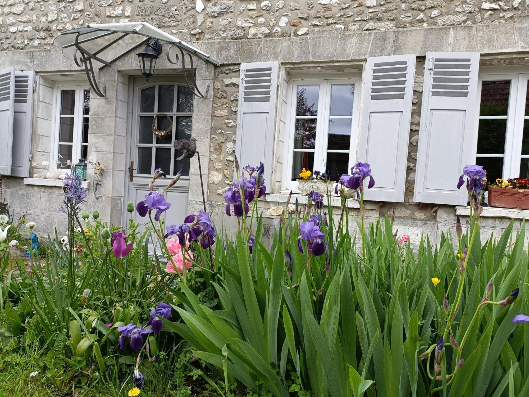 Avenue du Château Saint-Just  Exterior foto