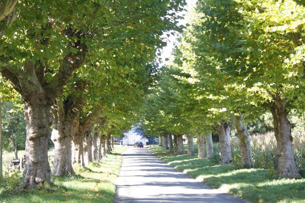 Avenue du Château Saint-Just  Exterior foto